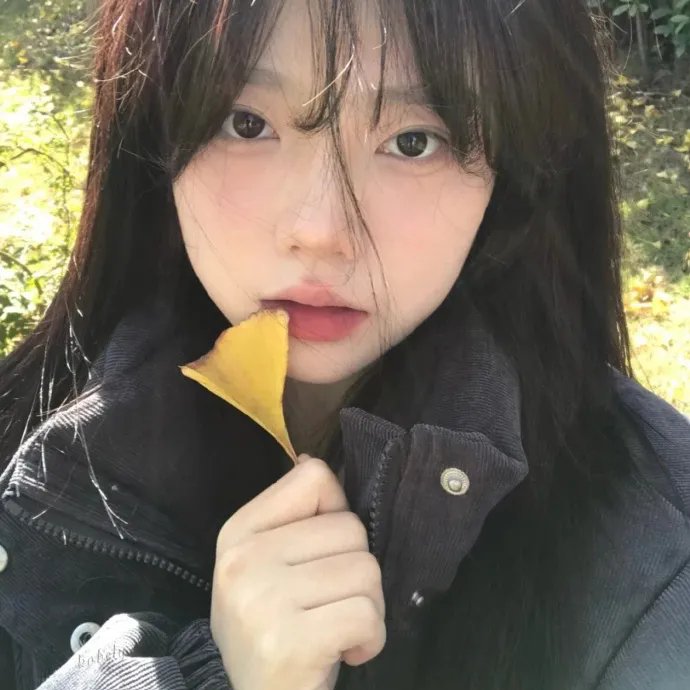 合金杀手